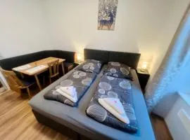 Apartment Loser im Zentrum