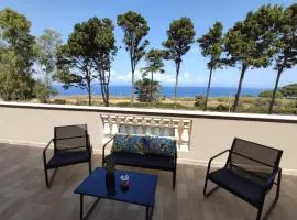 Sara B&B Accommodation