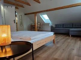 LOFT Apartment