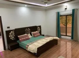 Naqvi's Residency