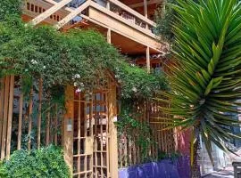 Villa Betty B&B