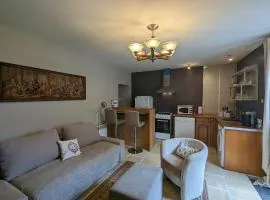Charmant loft dans la vieille ville, parking gratuit proche, proche château Naillac - FR-1-591-65