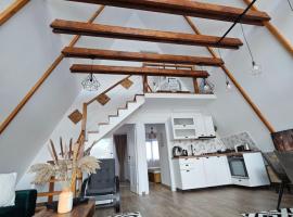 Ambiance Aframe, chata v destinaci C&acirc;mpulung Moldovenesc