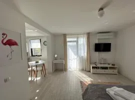AMADEUS IASI