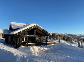 Flott hytte p&aring; Voss midt i skil&oslash;ypen, vila u gradu 'Skutle'