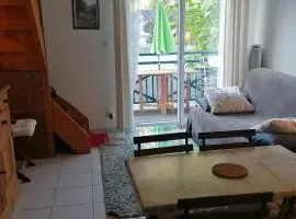 Appartement cosy à Saint-Mamet - 36 m² - Vue montagne