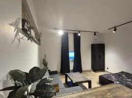Zvaigžņu Apartment