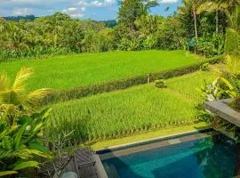 Dukuh Ubud Villa #2 Ricefield View