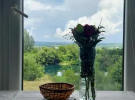 Apartments Window