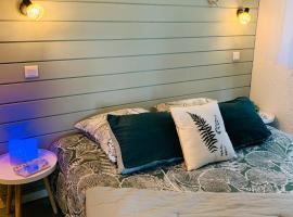 La Suite Unique - Le jardin sur les Pyrénées- vue panoramique montagne -jardin clôturé privé de 100m2-Parking-Linge de lit et serviettes compris-, hôtel à Bielle