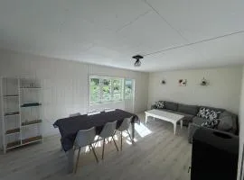 FERRYtale, cozy, spacious house on Senja