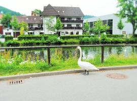 Hotel Schiff Nagold, hotel in Nagold