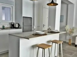 new & luxurious beach apartment