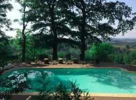 Mountain retreat in the Pyrénées, glorious views, fire pit & pool - Sleeps 14