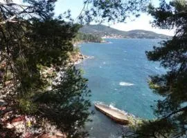 Studio avec balcon - Plage à 10min à pied