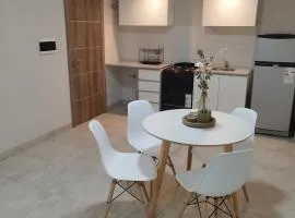 Departamento en Barrio Sur