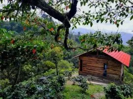 Cabaña cafetera con hermosa vista