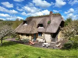Chaumière typique avec jardin, animaux admis, WIFI inclus - FR-1-497-202