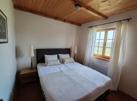 Apartmani Vinogradi