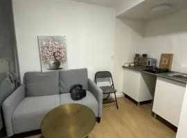 alquilo mini departamento