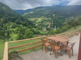 AYDIN HOME Uzungöl