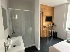 Chambre privée Au pied des Vosges entrée et terrasse privatives, proche gare et centre-ville