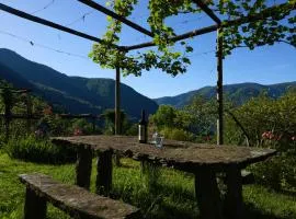 Wild Valley Garden Paradise in Valle Onsernone