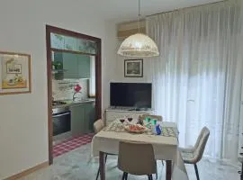 Viale VSM 108