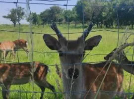 Beautiful villa close to national park