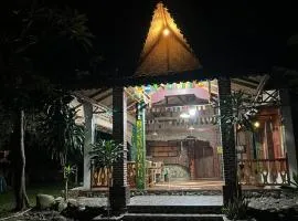 Pongo Guest House & jungle trekking