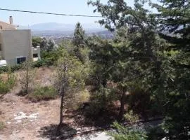 Ferienwohnung zwischen City Athen Strand und Flughafen in den Bergen