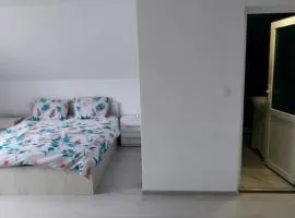 Casă de lângă rău