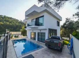 Luxury Villa with Pool