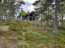 Moderne Fjellhytte Gautefall med Utsikt, Hotel in Drangedal