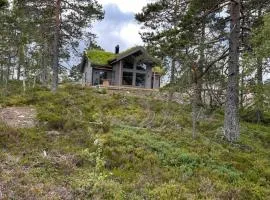Moderne Fjellhytte Gautefall med Utsikt