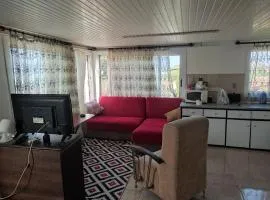 Yedidalga house
