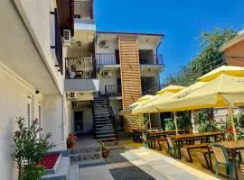 Casa Tudor Costinesti