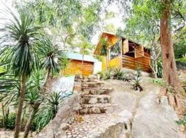 Meo Homestay