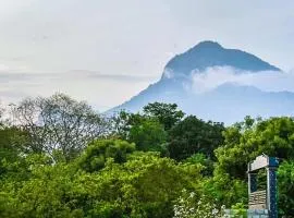 Athma Aruna Stayinn Thiruvannamalai
