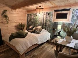 Les Écrins du Val de Mouthe, JURA, cabin in Petite Chaux