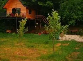 Camping & RV Park set up your tent Treehouse