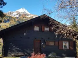 Gartlfallblick Comfortable holiday residence