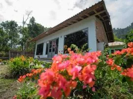 Quaint Cabin Walk to Batur Lake