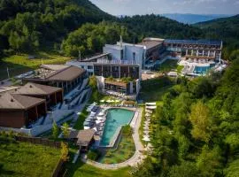 Boljevac에 위치한 호텔 Hotel Ramonda