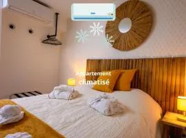 COZY F2 40m2 Appartement Climatisé Château