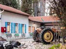 אתרי קמפינג