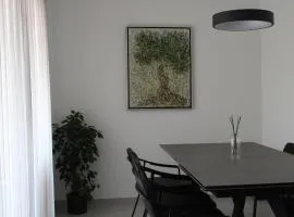 Modern and spacious 2 bedroom apartment