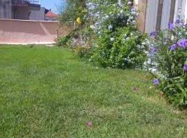 Sofia's house
