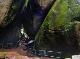 Dream inn, hotel in Meenangadi