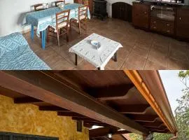L'Uliveto HOLIDAY HOUSE